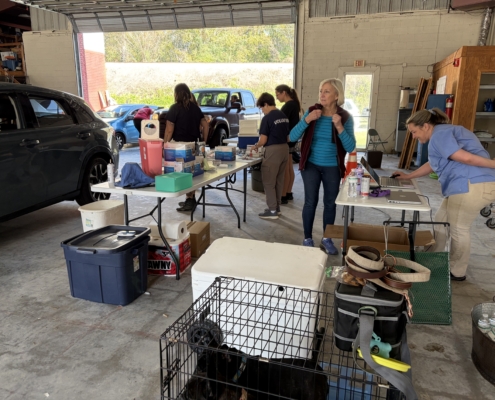 FreeVaccineHumaneSociety