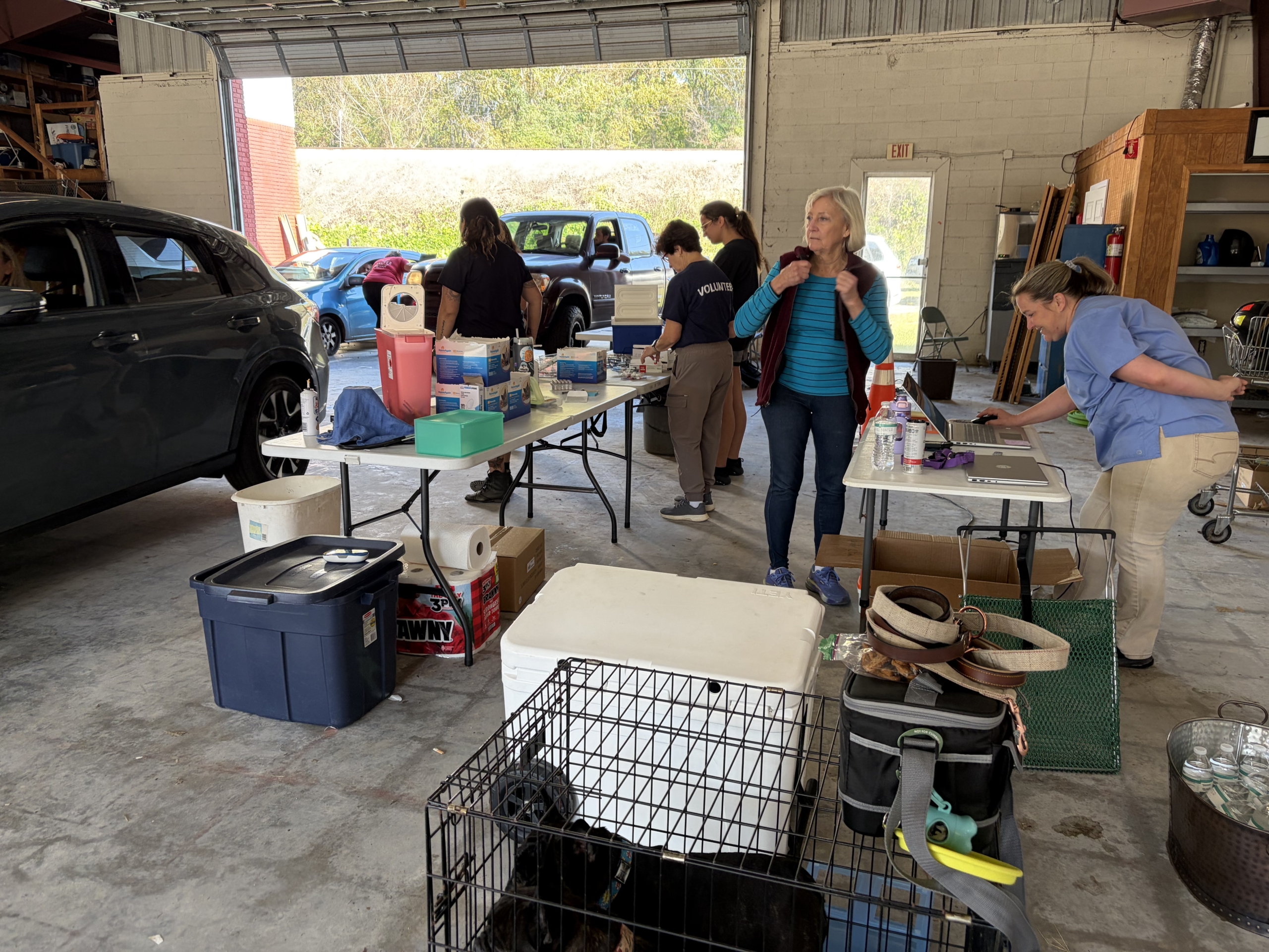 FreeVaccineHumaneSociety